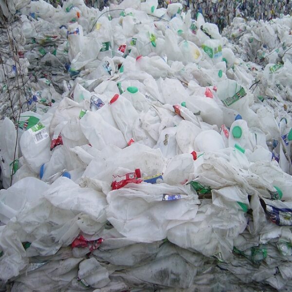 Hdpe Milk Bottles Scrap