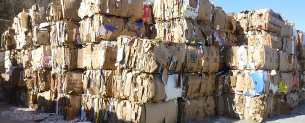 Old Corrugated Containers (OCC) Grade 11 - Image 7